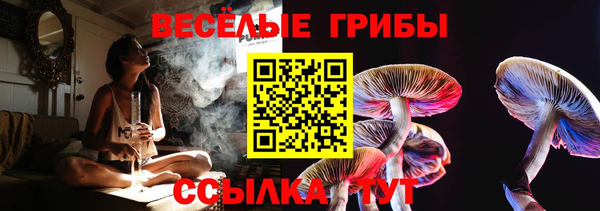 Псилоцибиновые грибы мухоморы  Вход с VPN  Заводоуковск 