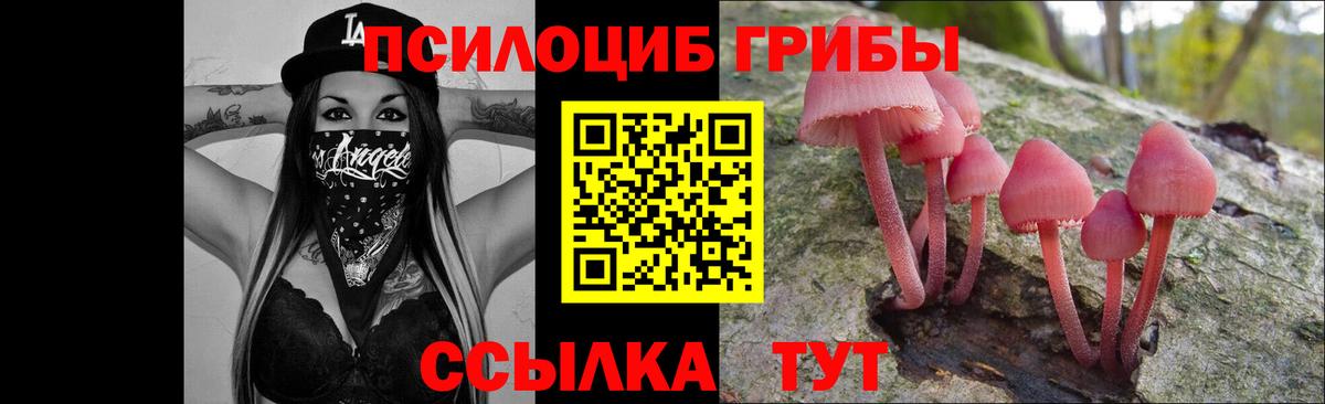 Галлюциногенные грибы прущие грибы Заводоуковск