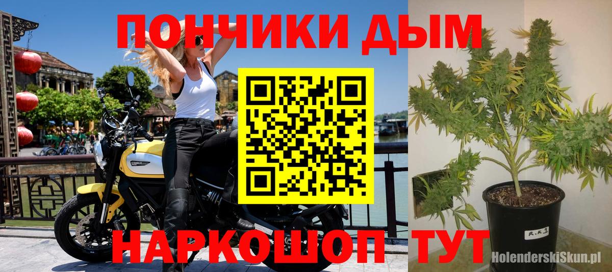МАРИХУАНА план  Вход с VPN  Шишки марихуана гибрид  Заводоуковск 